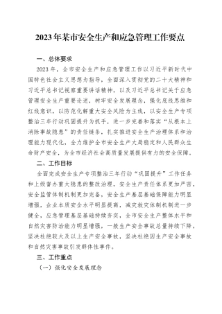 2023年某市安全生产和应急管理工作要点
