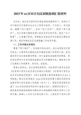 2023年区审计局反腐败协调汇报材料