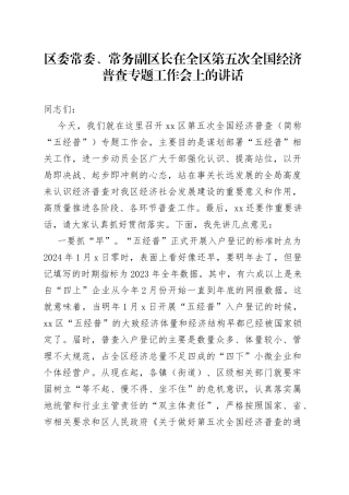 2023年区委常委、常务副区长在全区第五次全国经济普查专题工作会上的讲话
