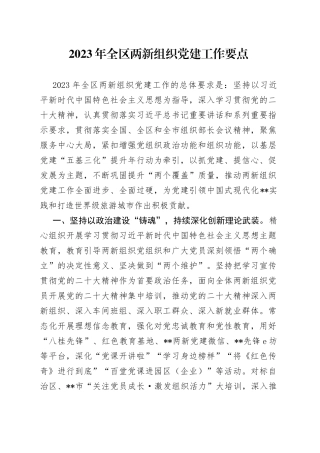 2023年全区两新组织党建工作要点