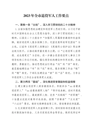 2023年全市退役军人工作要点【精品公文】