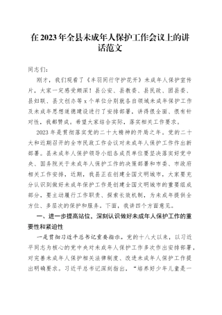 2023年全县未成年人保护工作会议讲话