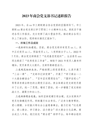 2023年商会党支部书记述职报告