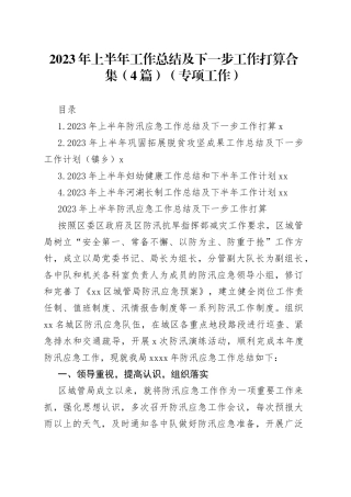 2023年上半年工作总结及下一步工作打算合集（4篇）（专项工作）