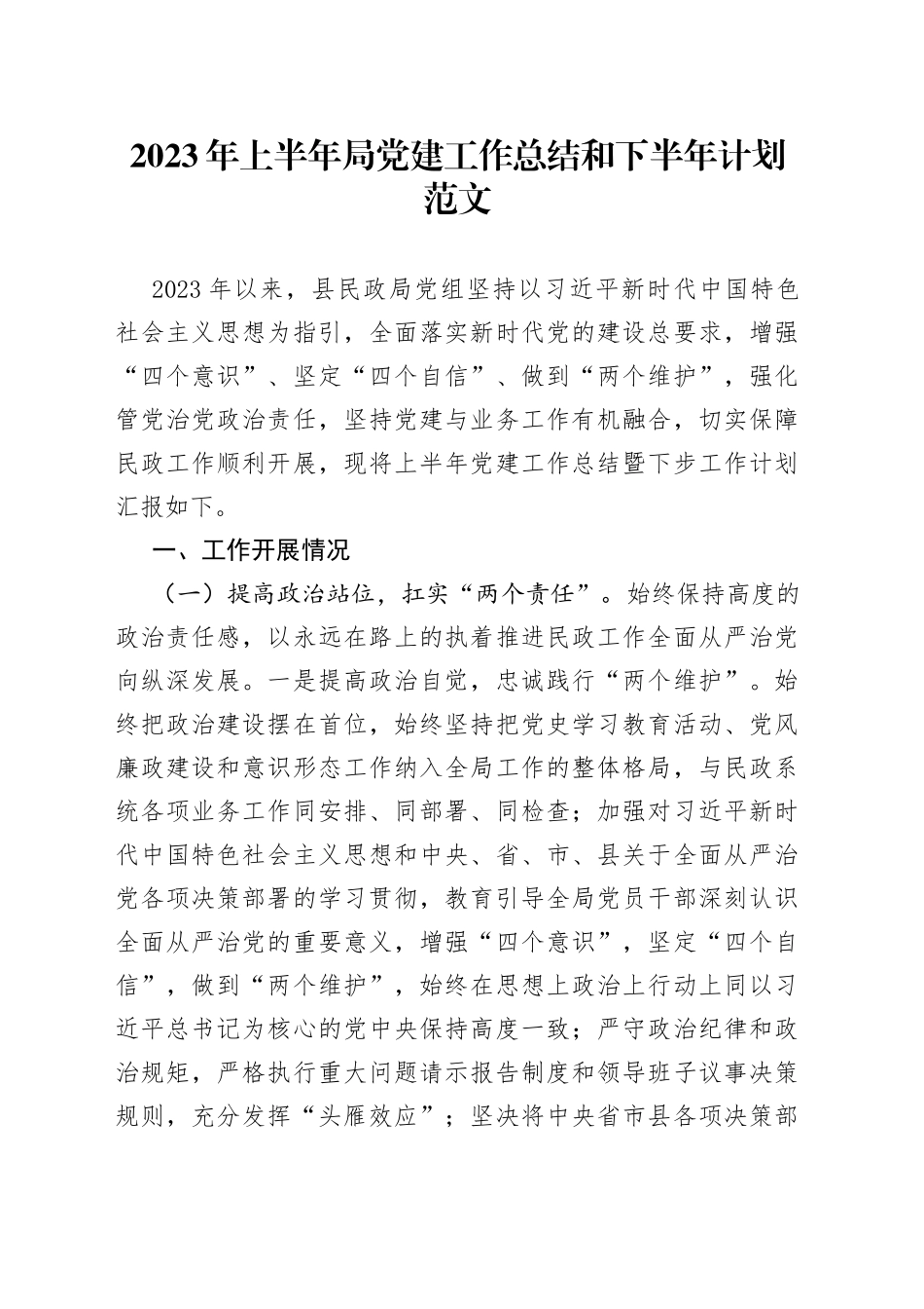2023年上半年局党建工作总结和下半年计划汇报报告_第1页