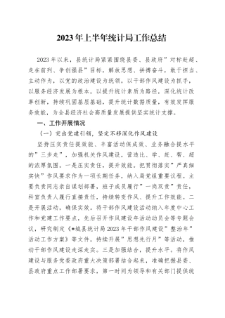2023年上半年统计局工作总结