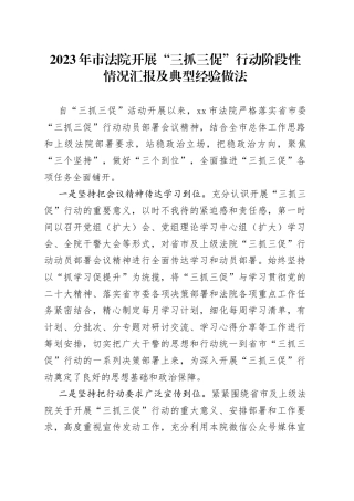 2023年市法院开展“三抓三促”行动阶段性情况汇报及典型经验做法