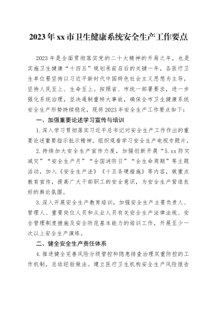 2023年市卫生健康系统安全生产工作要点（20230424）