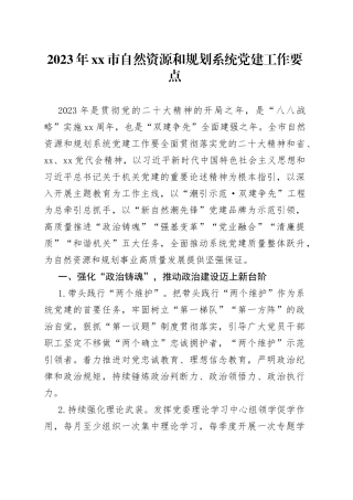 2023年市自然资源和规划系统党建工作要点