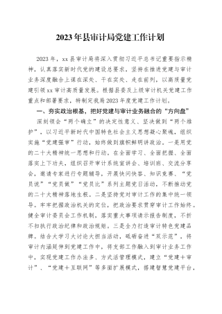 2023年县审计局党建工作计划(1)