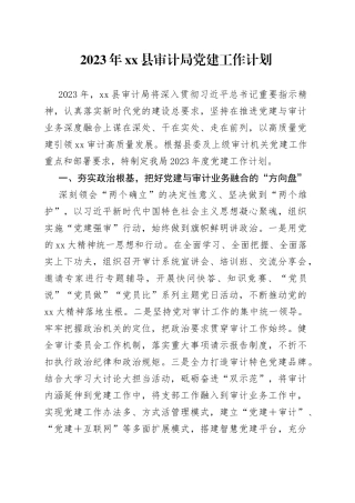 2023年县审计局党建工作计划