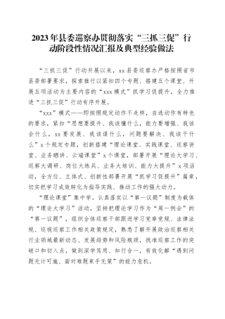 2023年县委巡察办贯彻落实“三抓三促”行动阶段性情况汇报及典型经验做法