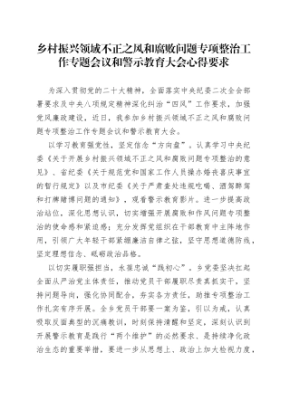 2023年乡村振兴领域不正之风和腐败问题专项整治工作专题会议和警示教育大会心得要求