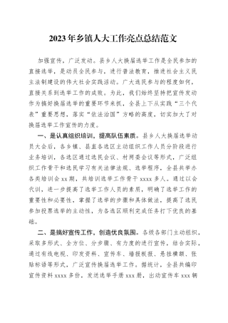 2023年乡镇人大工作亮点总结如何