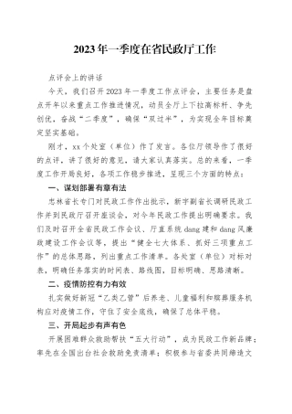 2023年一季度在省民政厅工作点评会上的讲话