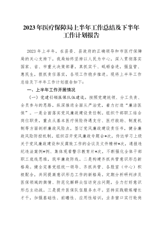2023年医疗保障局上半年工作总结及下半年工作计划报告