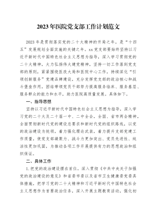 2023年医院党支部工作计划党建实施方案