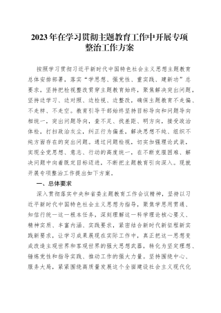 2023年在学习贯彻主题教育工作中开展专项整治工作方案