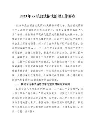2023年镇普法依法治理工作要点