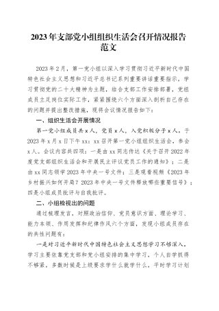 2023年支部党小组组织生活会召开情况报告汇报总结