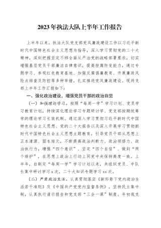 2023年执法大队上半年工作报告