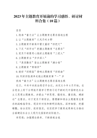 2023年主题教育开展前的学习感悟、研讨材料合集（10篇）