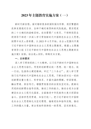 2023年主题教育实施方案（一）
