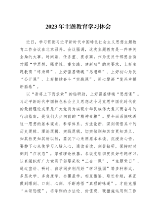 2023年主题教育学习体会