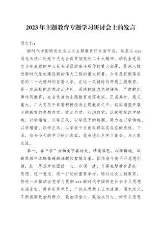 2023年主题教育专题学习研讨会上的发言