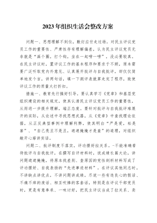 2023年组织生活会整改方案