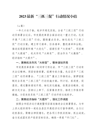 2023最新“三抓三促”行动情况小结2篇