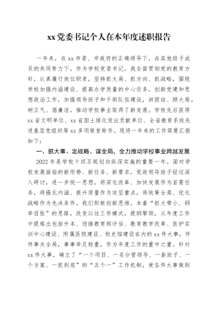 XX党委书记个人在本年度述职报告