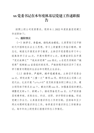 XX党委书记在本年度抓基层党建工作述职报告
