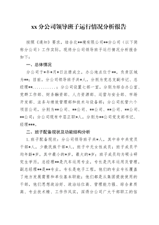 XX分公司领导班子运行情况分析报告