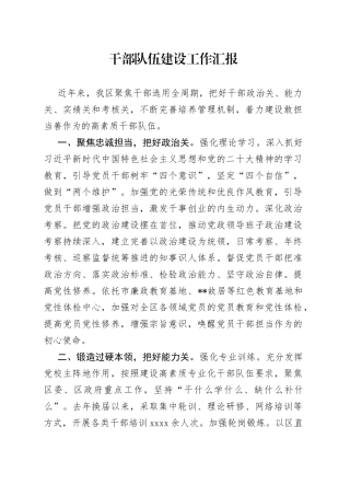 干部队伍建设工作汇报（5）