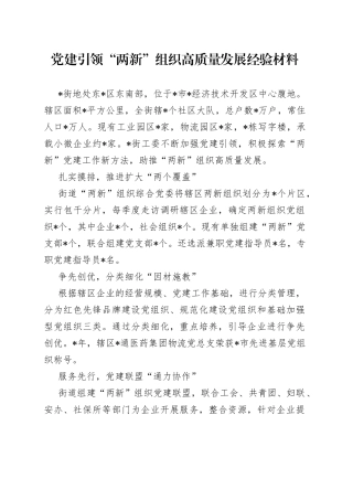 党建引领“两新”组织高质量发展经验材料