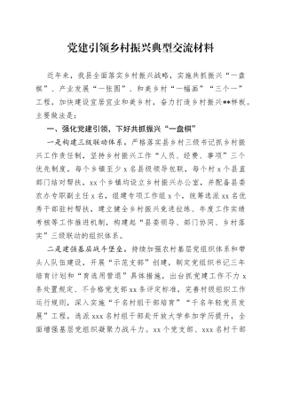 党建引领乡村振兴典型交流材料