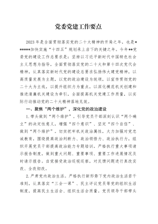 党委党建工作要点