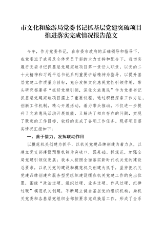 党委书记抓基层党建突破项目报告工作汇报总结