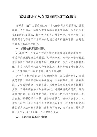 党员领导个人查摆问题整改情况报告