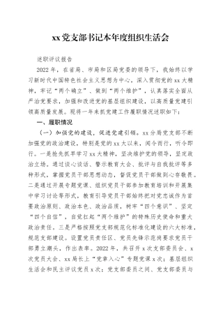 党支部书记本年度组织生活会述职评议报告