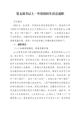 党支部书记上一年度组织生活会述职评议报告