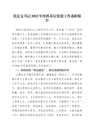 党总支书记2022年度抓基层党建工作述职报告