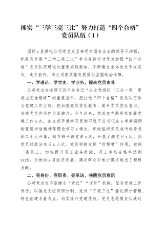 党组织“三学三亮三比”争当先锋行动工作经验材料合集（10篇）