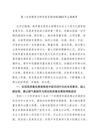 第一次专题学习研讨发言讲话稿2023年主题教育