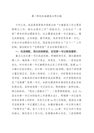 第一书记队伍建设工作汇报（1）