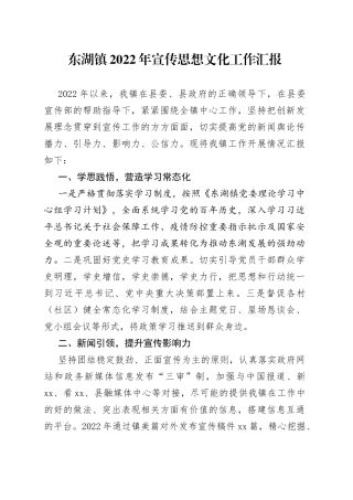 东湖镇2022年宣传思想工作汇报