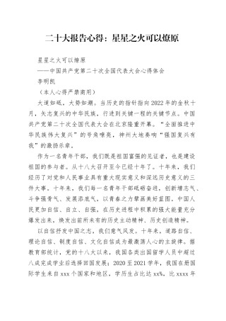 二十大报告心得：星星之火 可以燎原