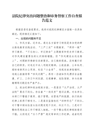 法院纪律突出问题整治和审务督察工作自查报告