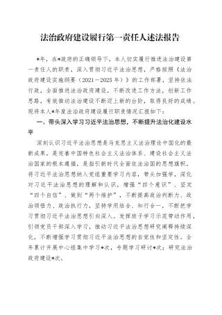 法治政府建设履行第一责任人述法报告